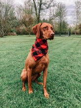 Load image into Gallery viewer, The Dog Bandana
